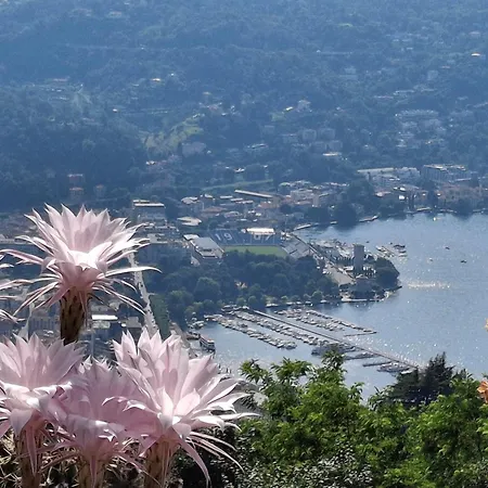 منزل للإقامة Brunate98 *