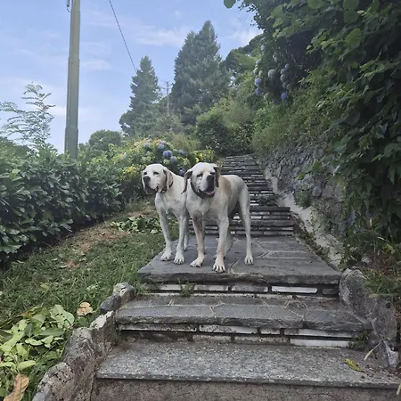 Brunate98 Privatunterkunft Como