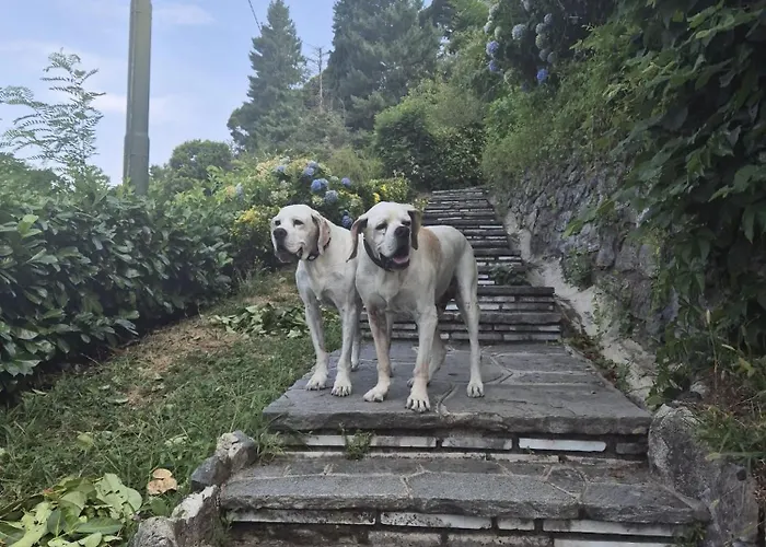 Brunate98 Quarto em Acomodações Particulares Como